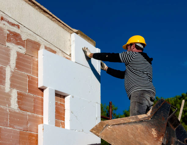 Best Energy-efficient Insulation  in Tappahannock, VA