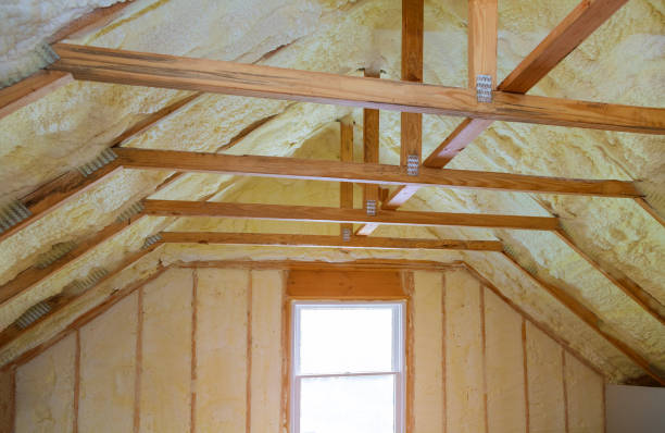 Best Insulation for New Construction  in Tappahannock, VA