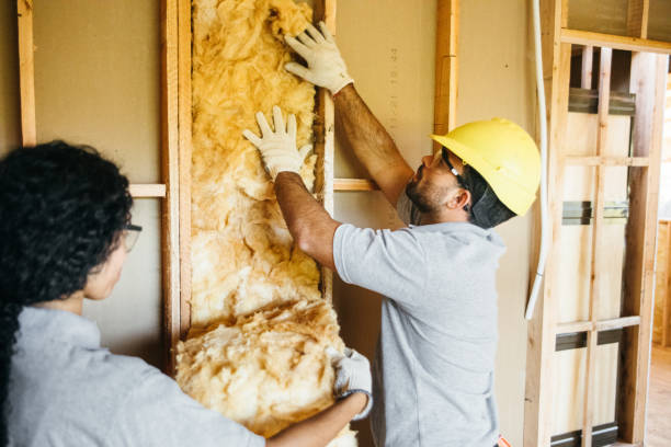 Best Spray Foam Insulation  in Tappahannock, VA