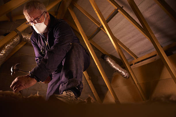 Best Insulation Removal  in Tappahannock, VA
